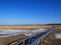 釧路湿原とタンチョウ鶴　フォトハンティング
