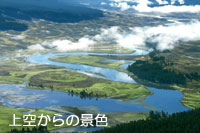 󂩂̌iF